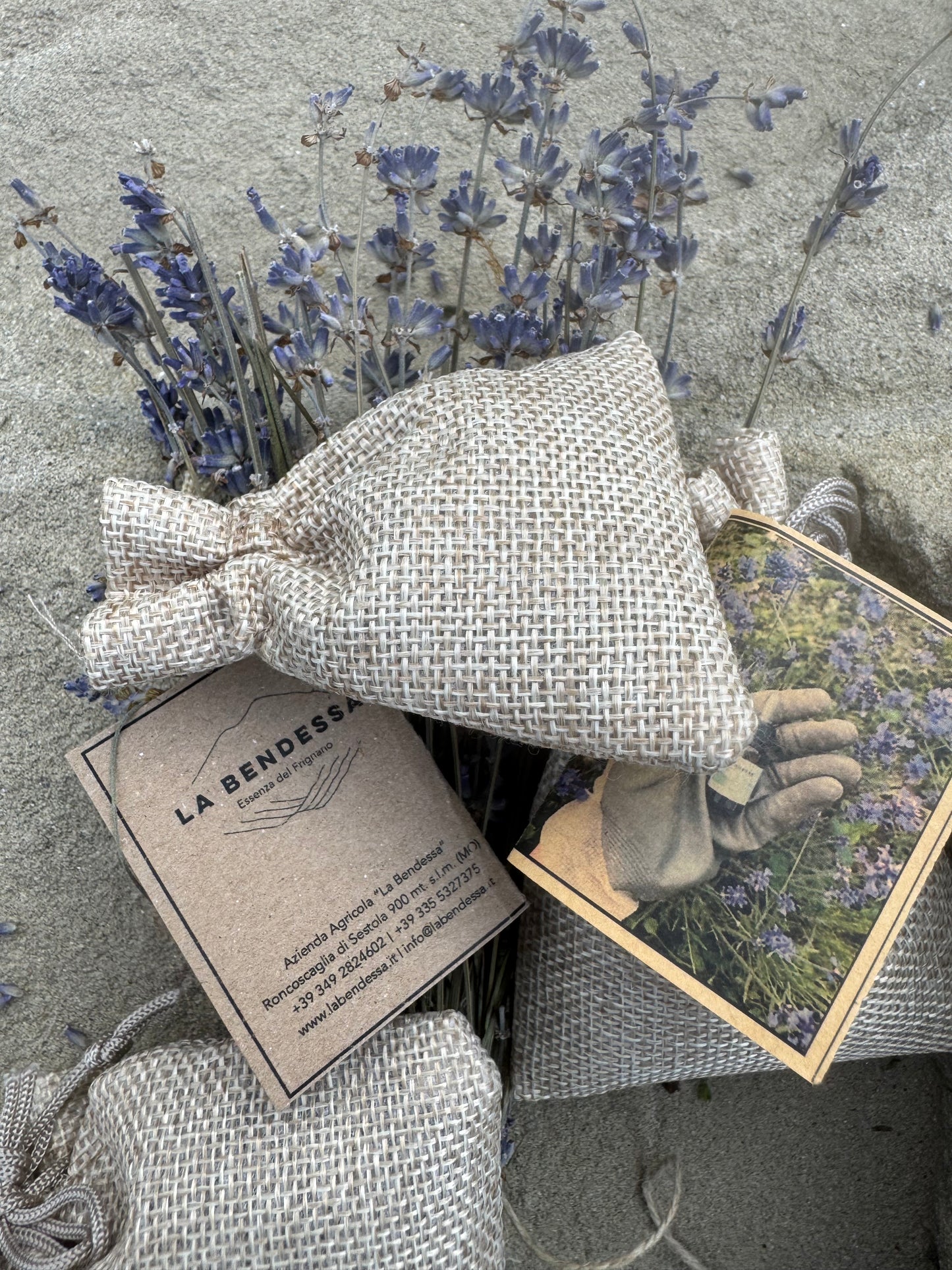 Lavanda Angustifolia - fiori sgranati