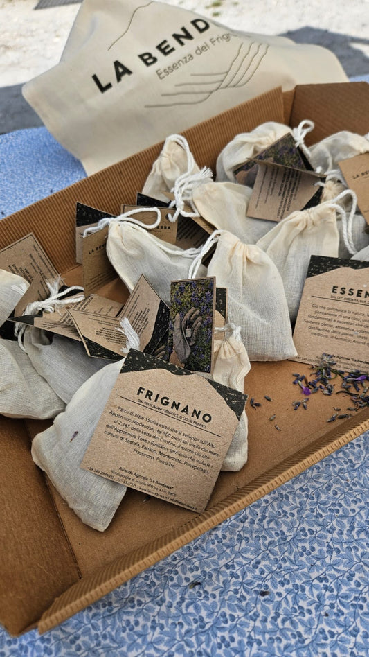 Lavanda Angustifolia - fiori sgranati