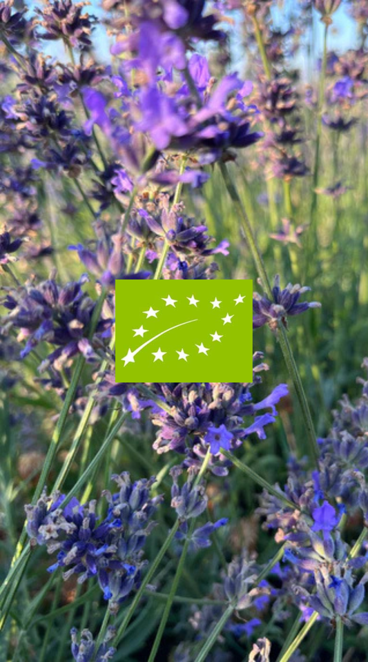 Il Certificato Biologico