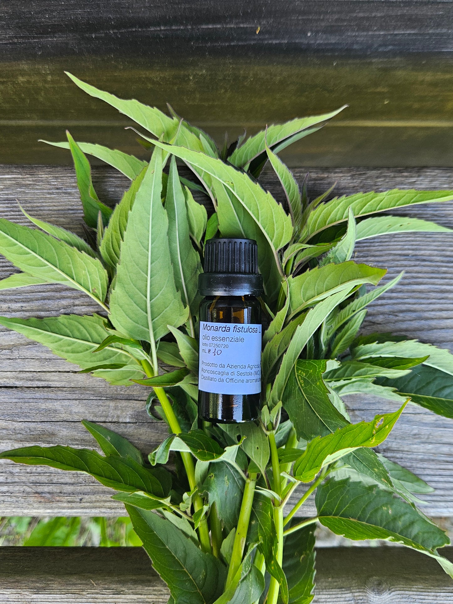 Essential oil