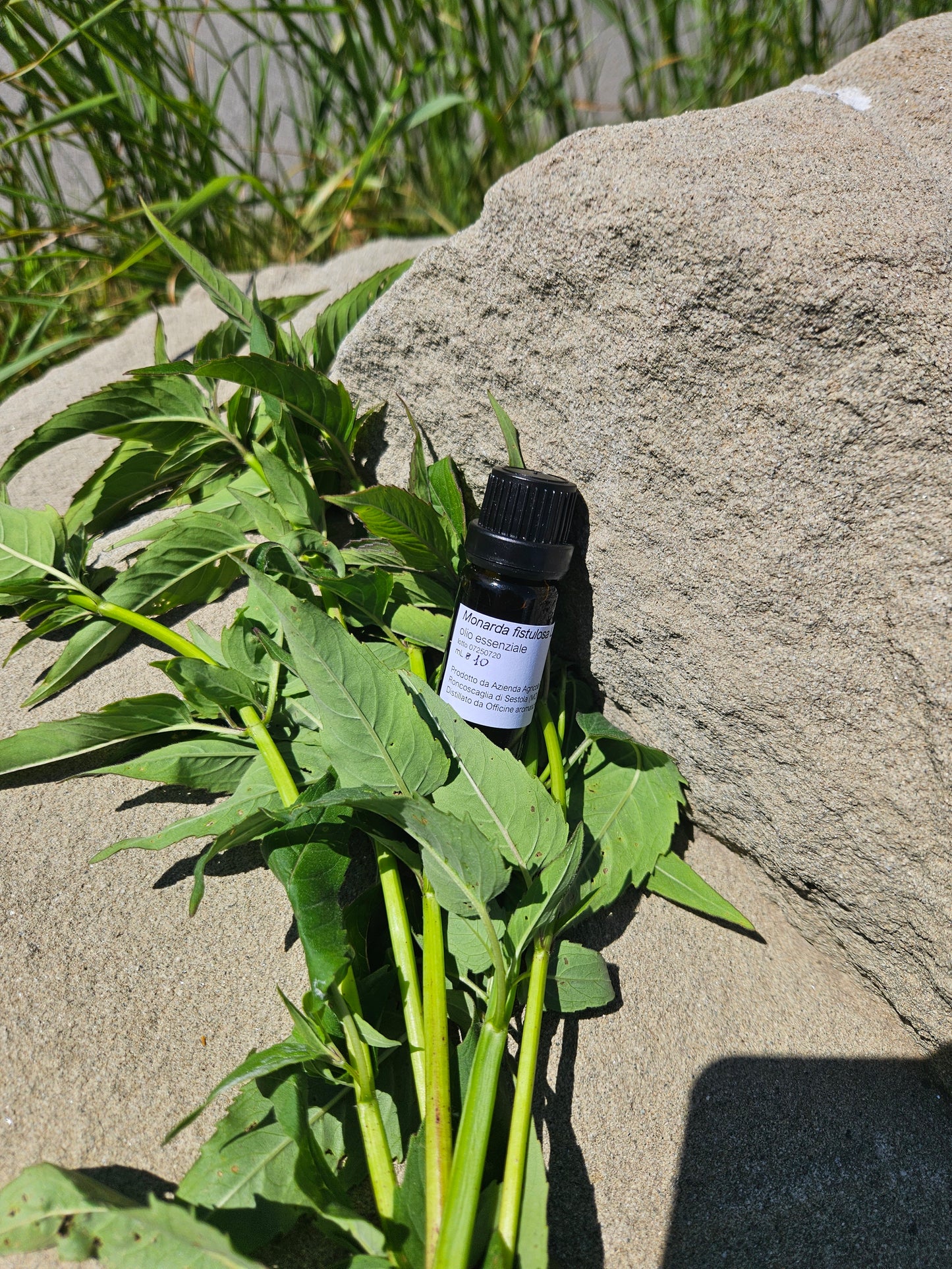Essential oil