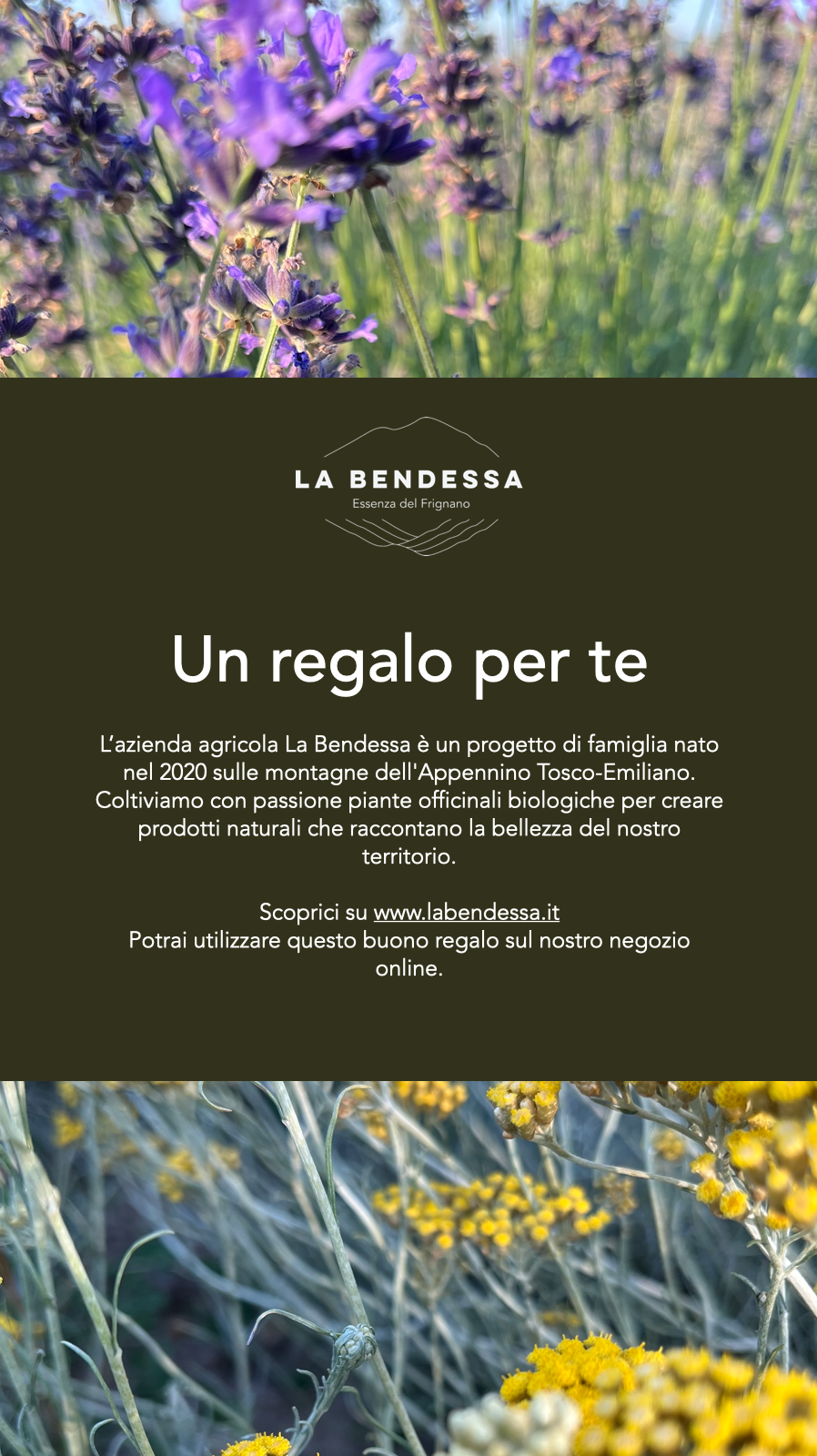 The Bendessa gift card