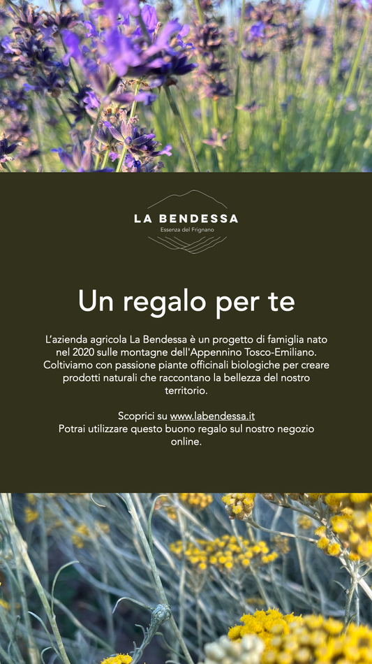 La Bendessa gift card