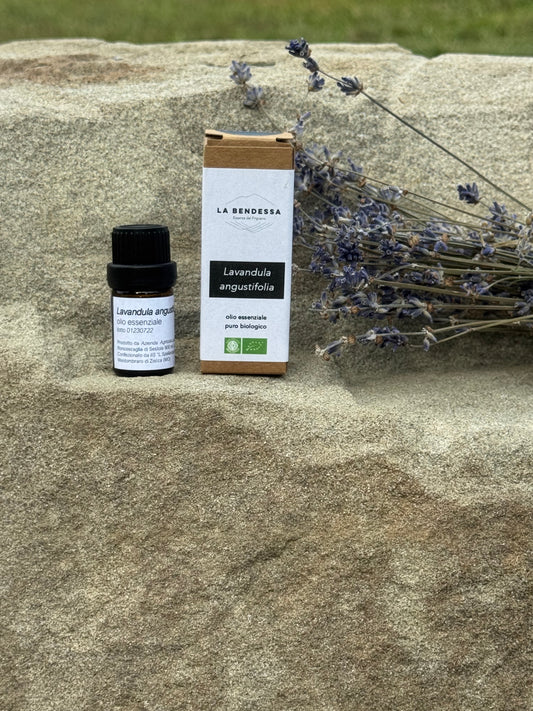 Olio essenziale biologico - Lavanda