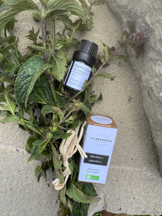 Olio essenziale - Menta piperita